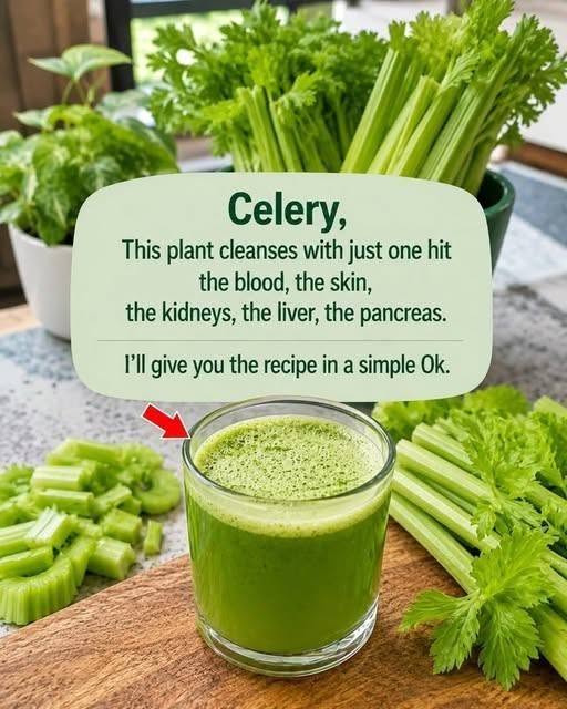 Fresh Celery Detox Juice